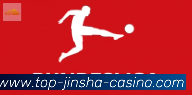 金沙国际合作伙伴
